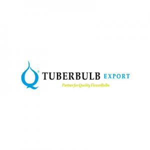 Tuberbulb Export BV