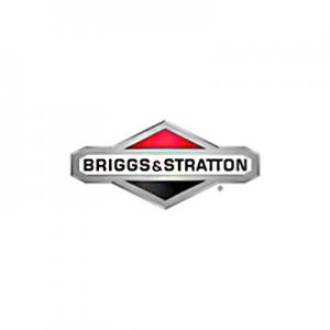 Briggs + Stratton