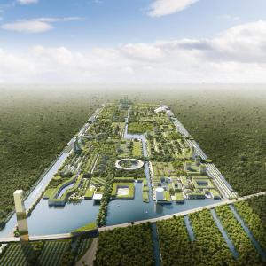 Поєднання екологічності та наукових досліджень - перше розумне лісове місто в Мексиці