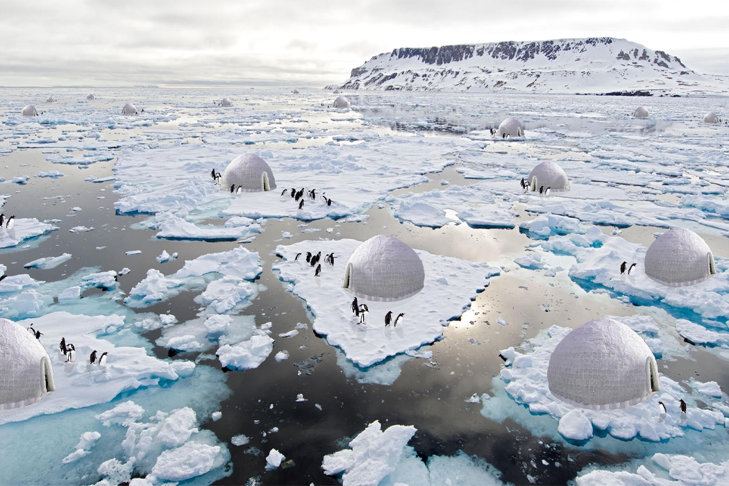 Иранский архитектор предложил концепт иглу для пингвинов, чтобы они пережили глобальное потепление