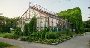 У Києві на ВДНГ реставрують унікальну оранжерею