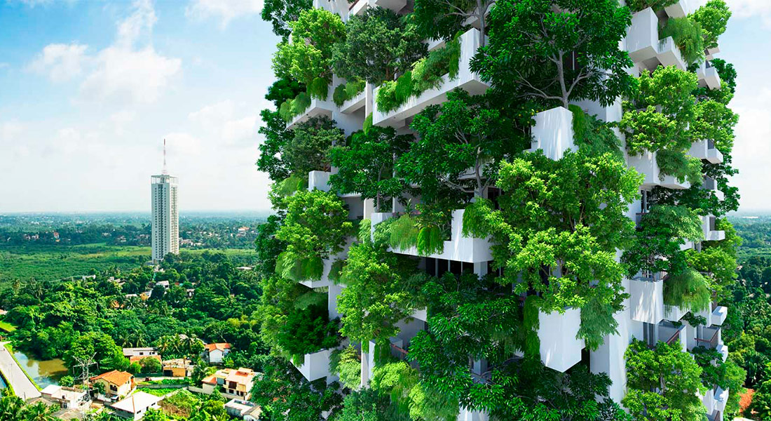 Озеленение навесных вентилируемых фасадов - интересный элемент экологичности зданий