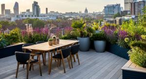 Модний сад в 4 кроки: поради експертів, тенденції оформлення ландшафту - літо 2021