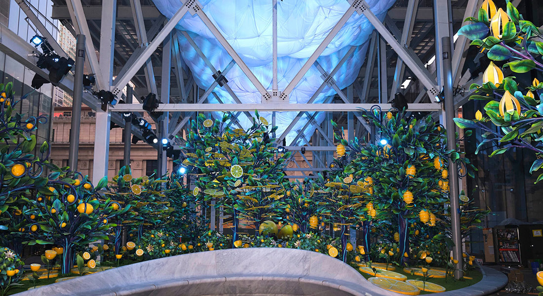 Новый подход: застройщик в Нью-Йорке замаскировал строительные леса под сад с лимонными деревьями