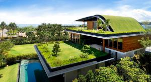 Как проектировать зеленые крыши?