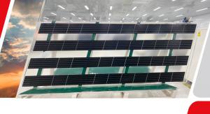 В'єтнамська компанія створила прозорий фотоелектричний модуль для агроенергетики