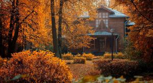 8 способів прикрасити сад восени
