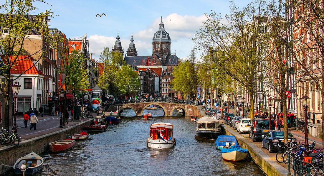 С 2025 года в Амстердаме все здания будут создаваться с использованием дерева и других биоматериалов