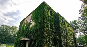 У Польщі власників озеленених будинків звільнять від податку