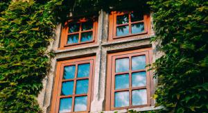 Дослідження: «зелені стіни» захищають старі будинки від втрати тепла