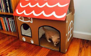 Как сделать удобный домик для кошки из подручных материалов?