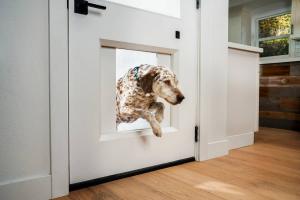 Як зробити дверцята для кішок і собак?