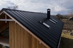 Огляд видів покриття даху для приватного будинку: міцність, тривалість та вартість