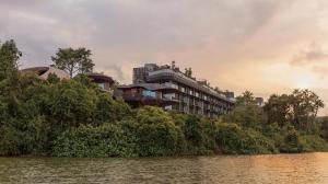 Курорт у тропічному лісі Сінгапуру від WOW Architects «пробирається крізь джунглі»