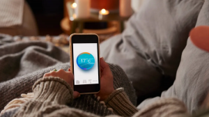 Минимальная температура дома зимой: какой порог спасет жилье от сырости, плесени и конденсата