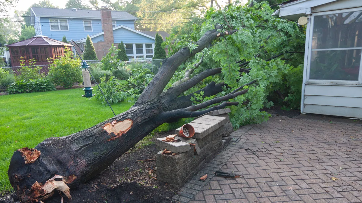 10 простих способів захистити садок від шторму цієї осені