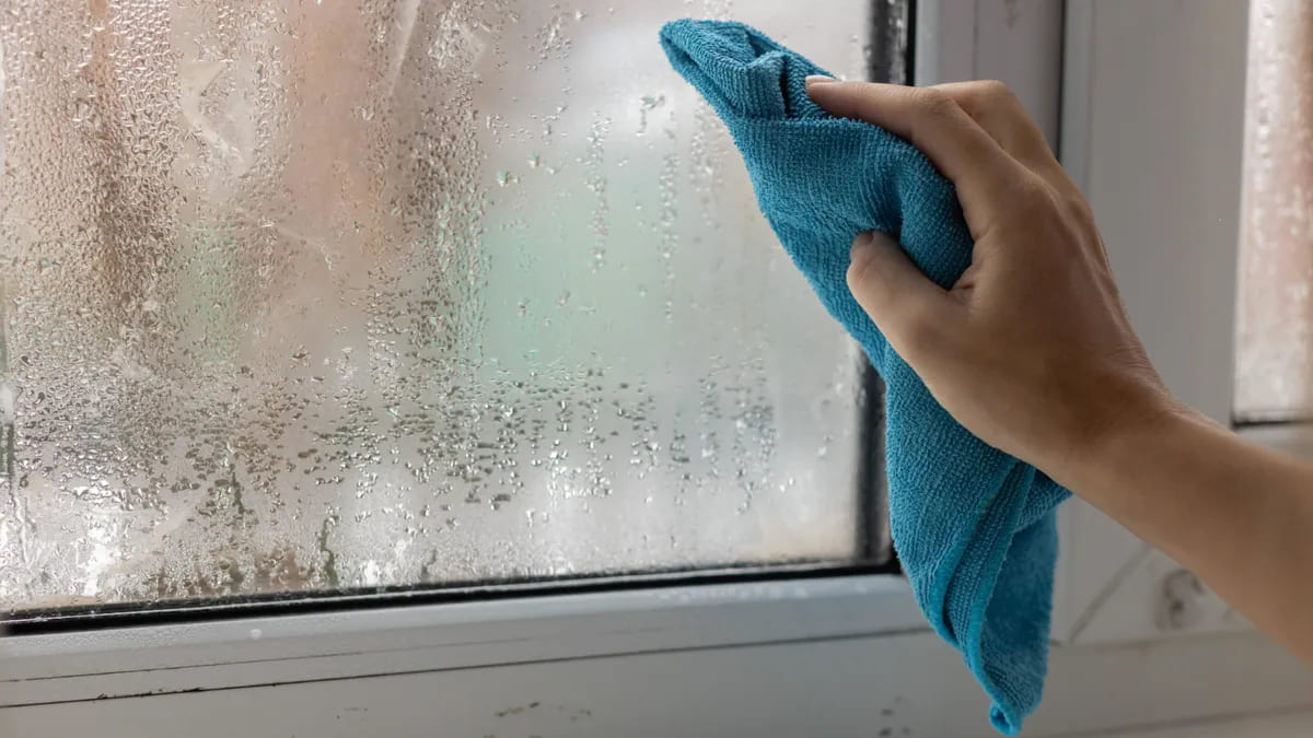 Чи варто витирати конденсат із вікон? Поради експертів