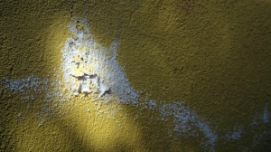 Не всегда то, что кажется «возвышающейся сыростью»