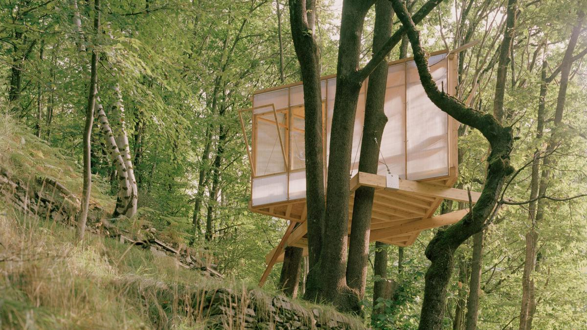 Дом на дереве в швейцарской долине: уединение, вдохновение и современная архитектура