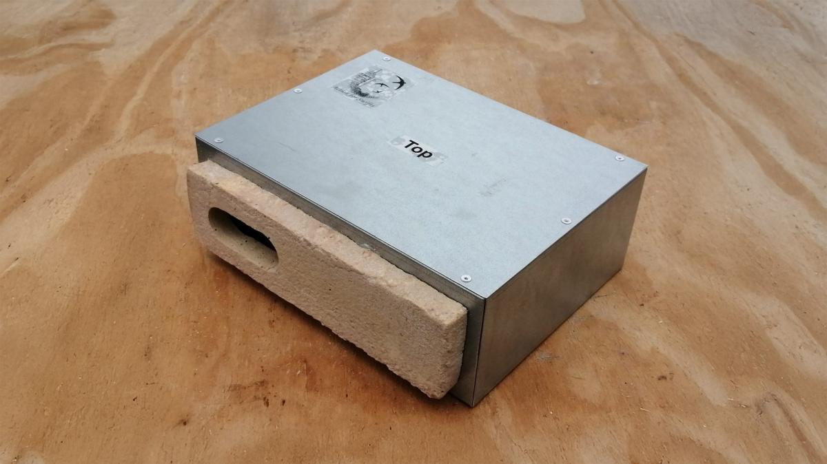 Цегла з крилами: як Шотландія змінює правила будівництва заради птахів