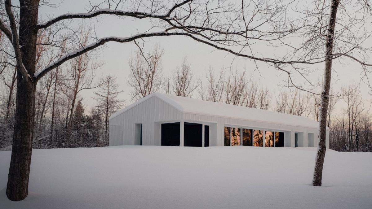 Timbertop House: гармонія минулого та сучасності на засніжених пагорбах Онтаріо