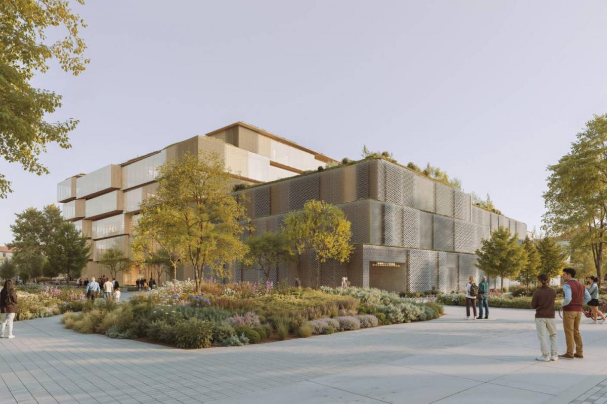 Вихрь слов: как Kengo Kuma превращает библиотеку в архитектурное приключение