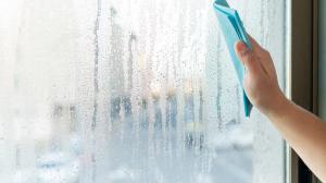 «Исправь сейчас или плати потом»: скрытая угроза оконного конденсата, о которой молчат многие владельцы жилья