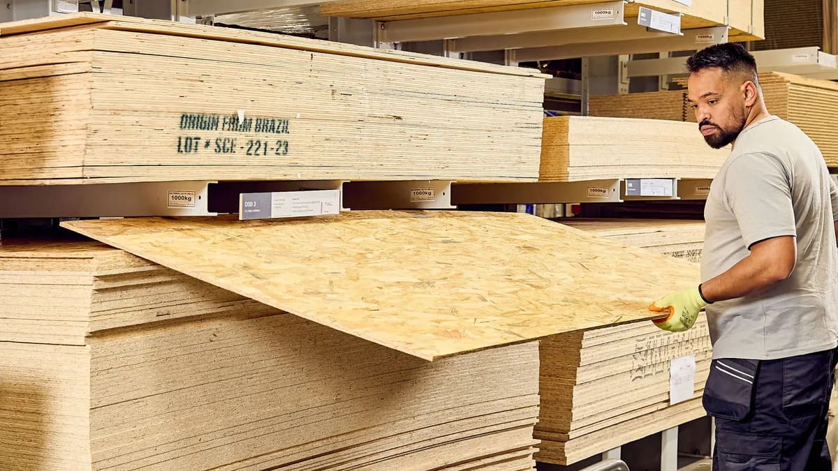 OSB чи фанера: що обрати для наступного DIY-проєкту, щоб не пошкодувати?