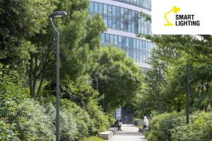 Як сучасне вуличне LED-освітлення економить енергію та підвищує безпеку міст?
